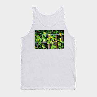 Sherman Gardens Study 31 Tank Top